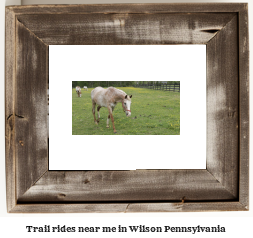 trail rides near me in Wilson, Pennsylvania